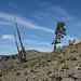 IMG 6953