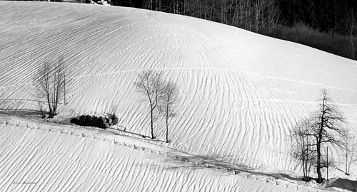 Spuren im Schnee