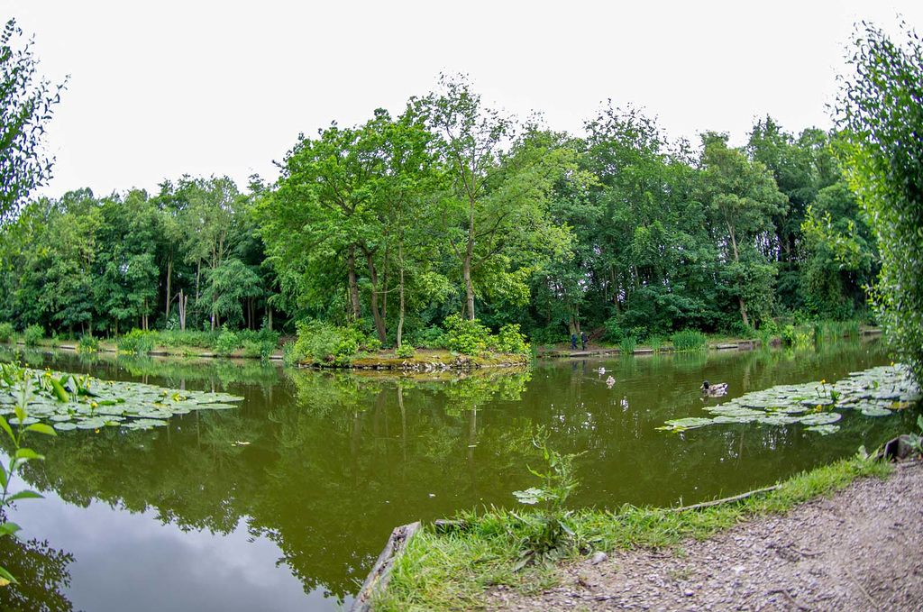 Wepre lake6