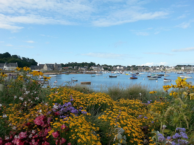 port de ploumanach