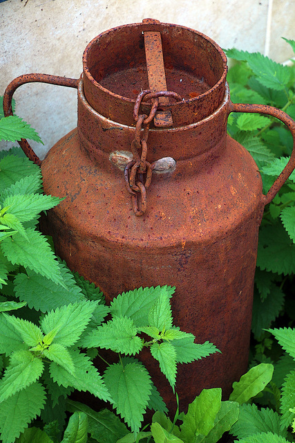 Rentable , tu remplis de flotte et après 15 minutes tu bois une eau ferrugineuse réputée pour ses vertus curatives .