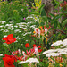 Kunterbunt