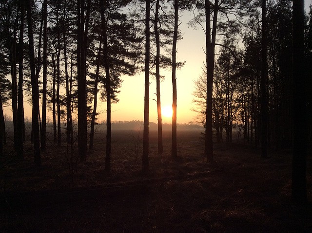 44/365 - Sonnenuntergang...