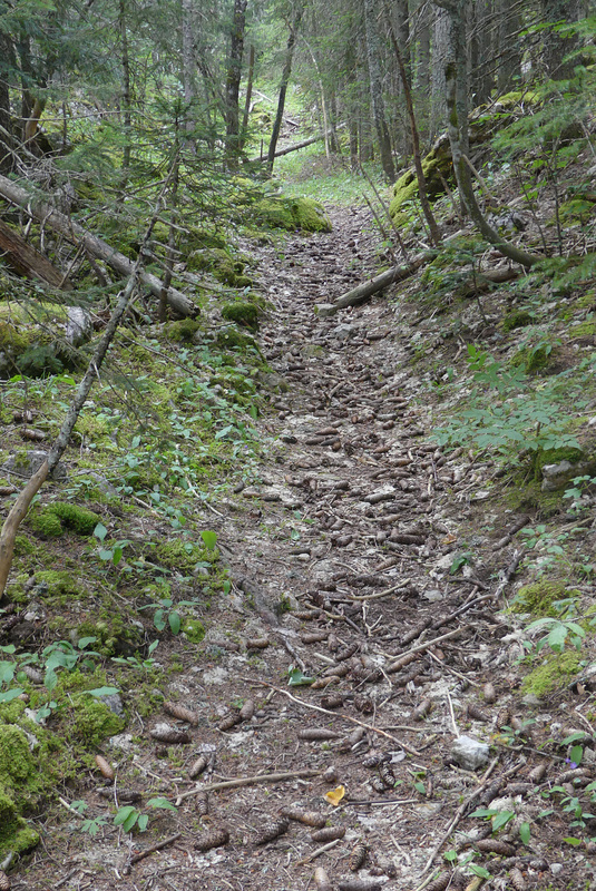 20170718 -23 Randos St Agnan en Vercors (122) al