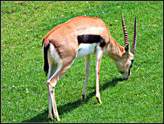 Biopark Valencia, 100