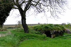 Dolmen de la Pierrelée