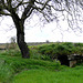 Dolmen de la Pierrelée