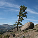 IMG 6955