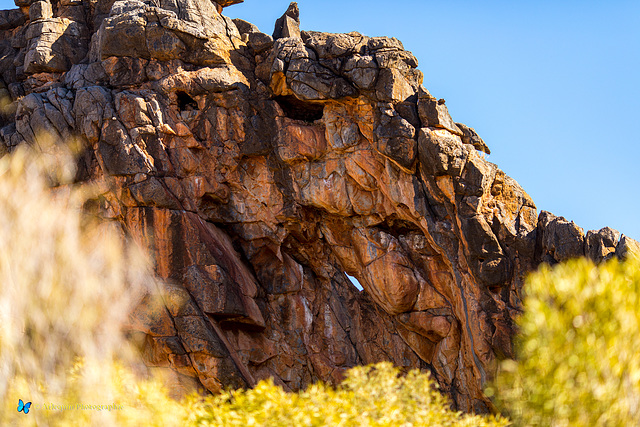 Corroboree Rock #1