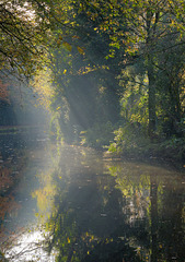 Soft mist and light on the canal.