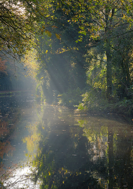 Soft mist and light on the canal.