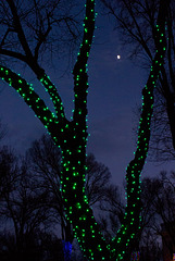 Yavapai County Courthouse - holiday lights