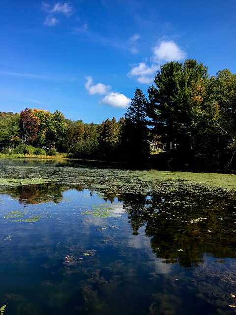 Etang Ste Marceline de Kildare