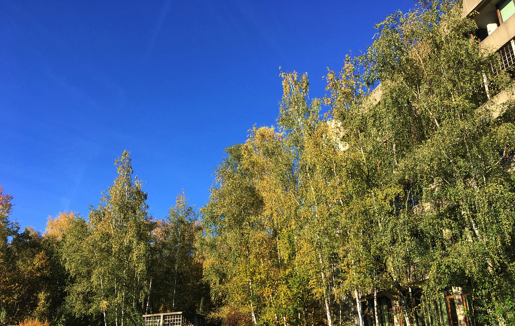 Automne à Liège