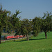 BÖ0033569