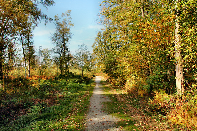 Emscherbruch, Gelsenkirchen-Resse/ 15.10.2018