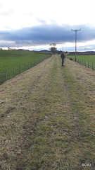 The former rail track near Cromdale now part of the Speyside Way