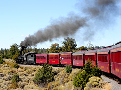 Cumbres and Toltec Train on Curve