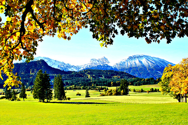 Autumn in the Allgäu.  ©UdoSm