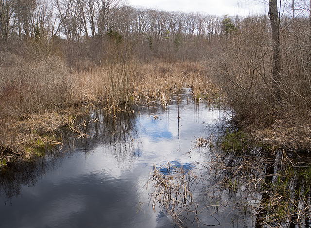 Cape Elizabeth, Great Pond