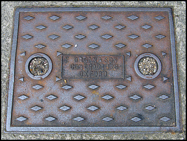 Organ manhole cover