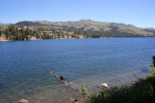 IMG 6051