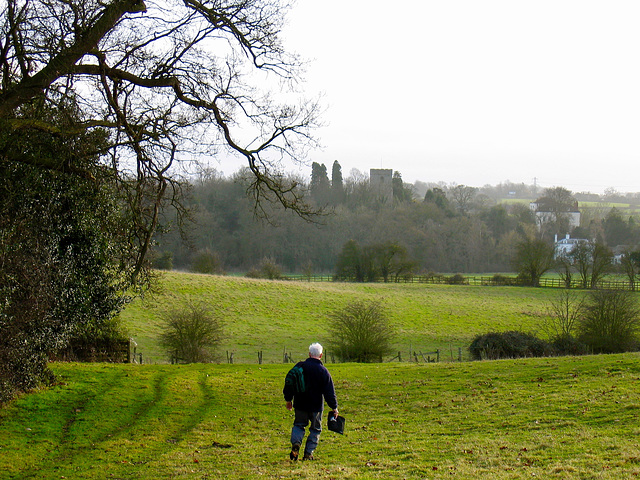 Looking towards Salwarpe from below Home Farm