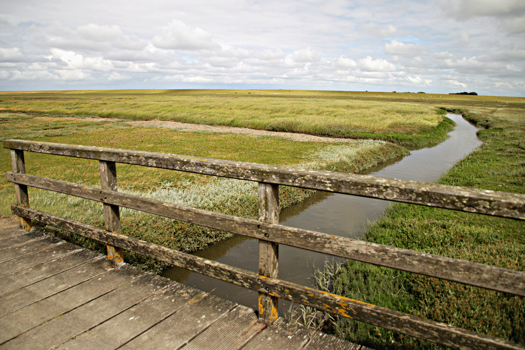 Vorland bei Westerhever