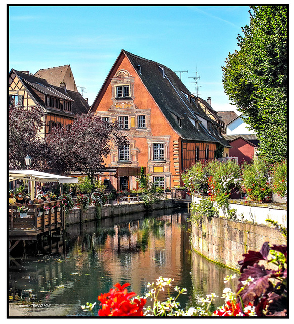 Colmar