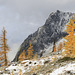 Porcupine Peak and Larches