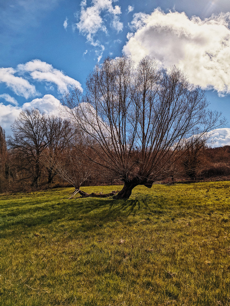 photo 28-rando Chevreuse-26032023