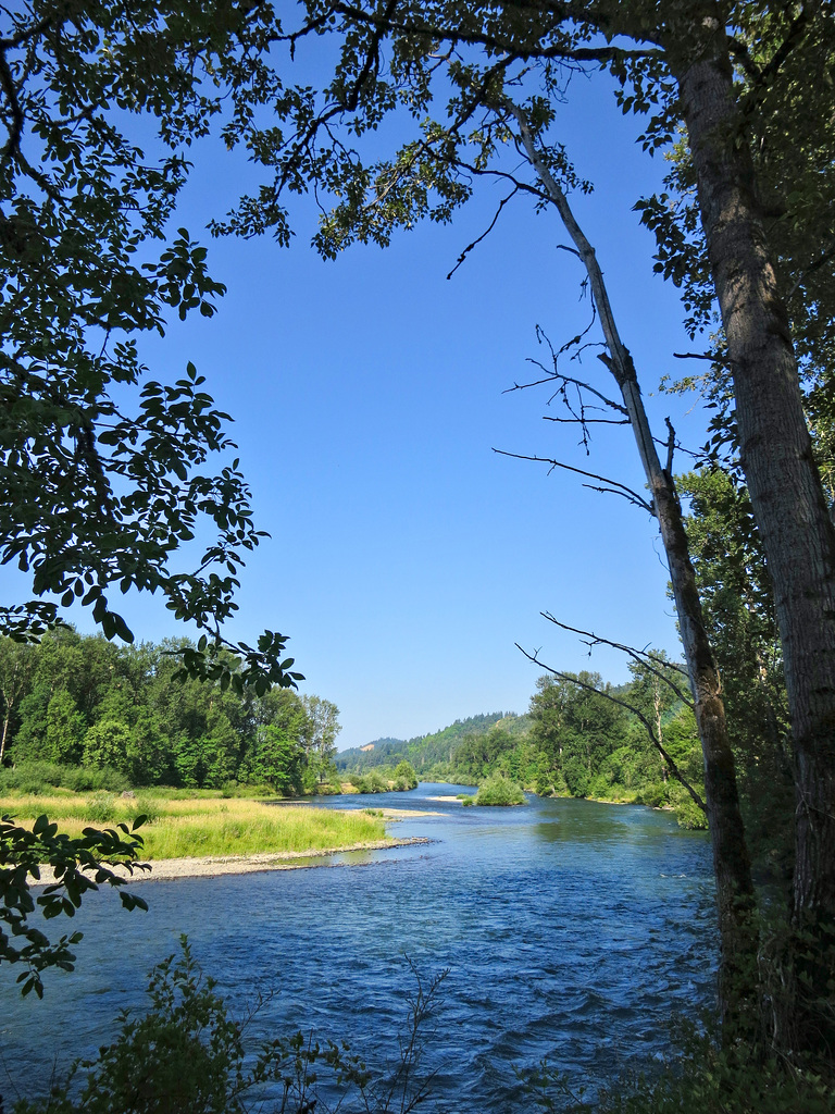 A river somewhere