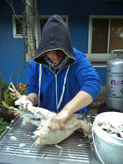 Jennifer plucks chickens