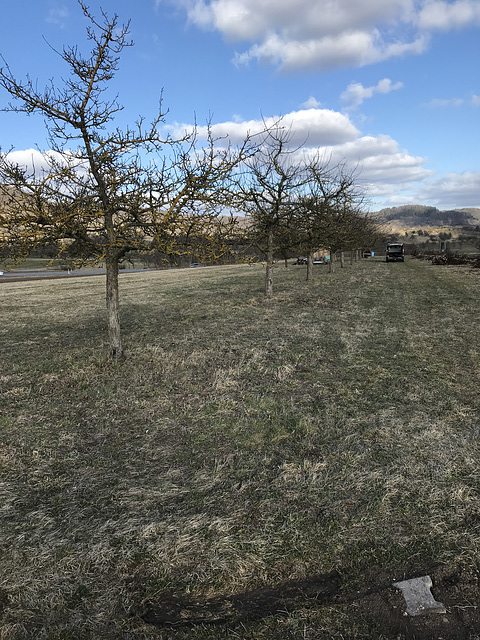 Grundstück und Markstein