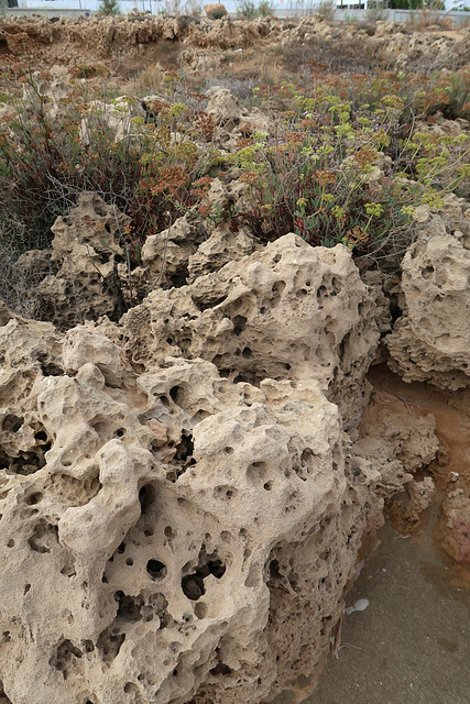 Volcanic rock, eroded by the sea