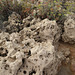 Volcanic rock, eroded by the sea