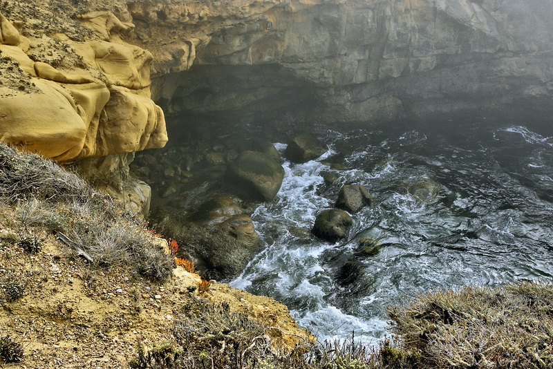 The Passage of Time – Point Lobos State Natural Reserve, California