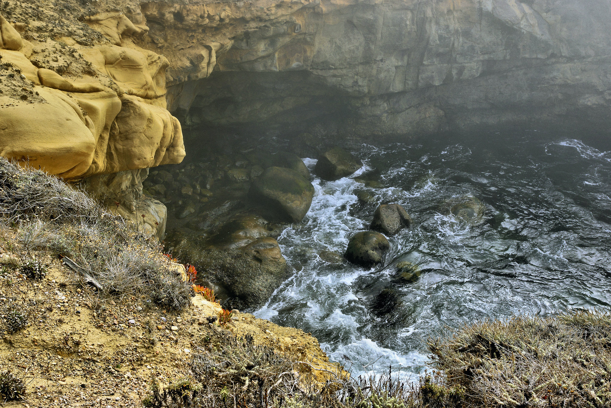 The Passage of Time – Point Lobos State Natural Reserve, California
