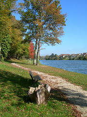 L'étang du Bourg. Dampierre en Burly.
