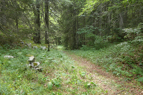 20170718 -23 Randos St Agnan en Vercors (132) al