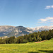 Panoramablick vom Steinegger Höhenwanderweg (PicinPic)