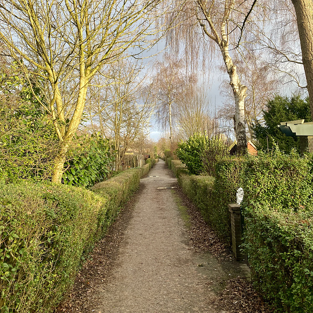 Allotment park