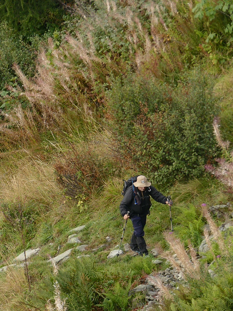 20250906 -12 Saint Colomban des Villards (Savoie) (221)