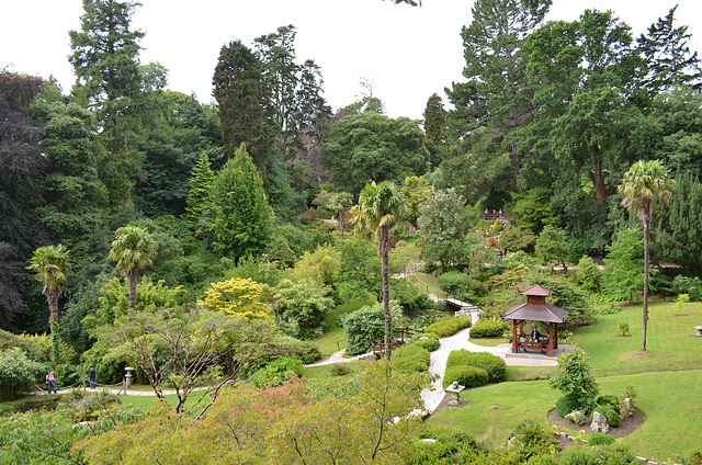 Powerscourt Gardens, Japanese Garden
