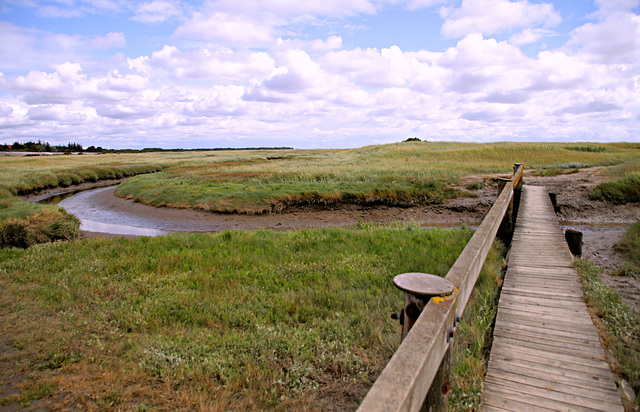 Brücke im Vorland