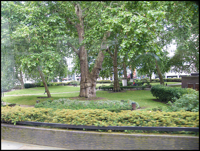 Cavendish Square gardens