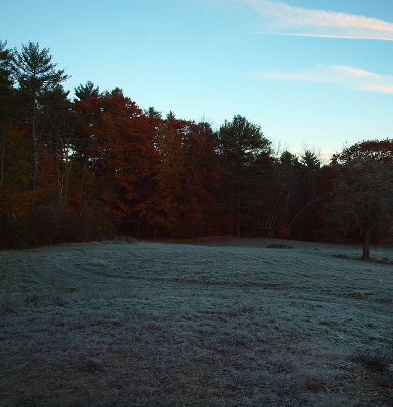 first hard frost of the season