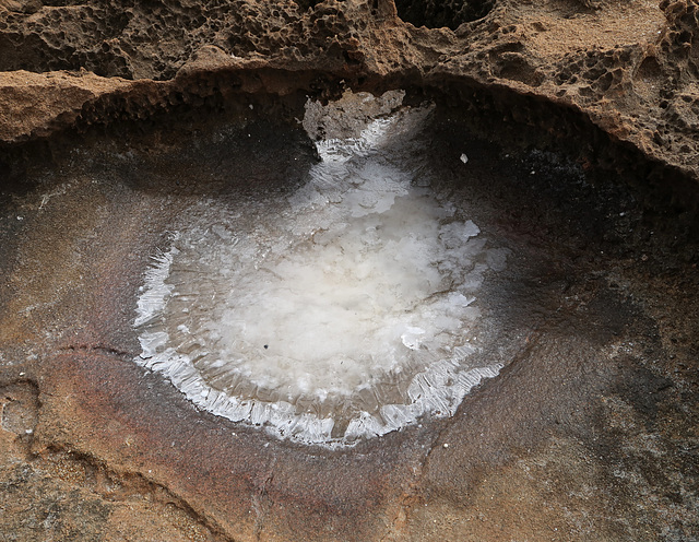 Super salty rockpool