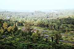 Karkala
