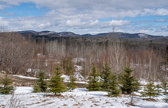 Scenic view at Scenic View Sugaring